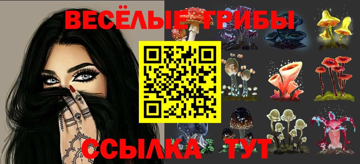 Галлюциногенные грибы Psilocybe Урай